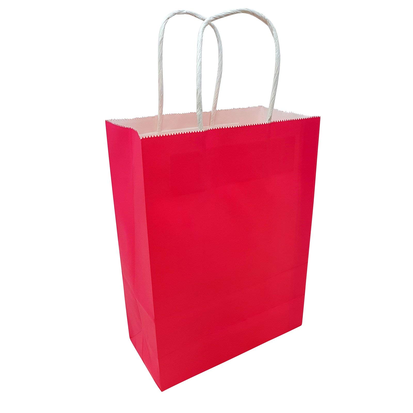 Picture Perfect Party Kraft Paper Bags with Handle [Hot Pink, Pack of 108]