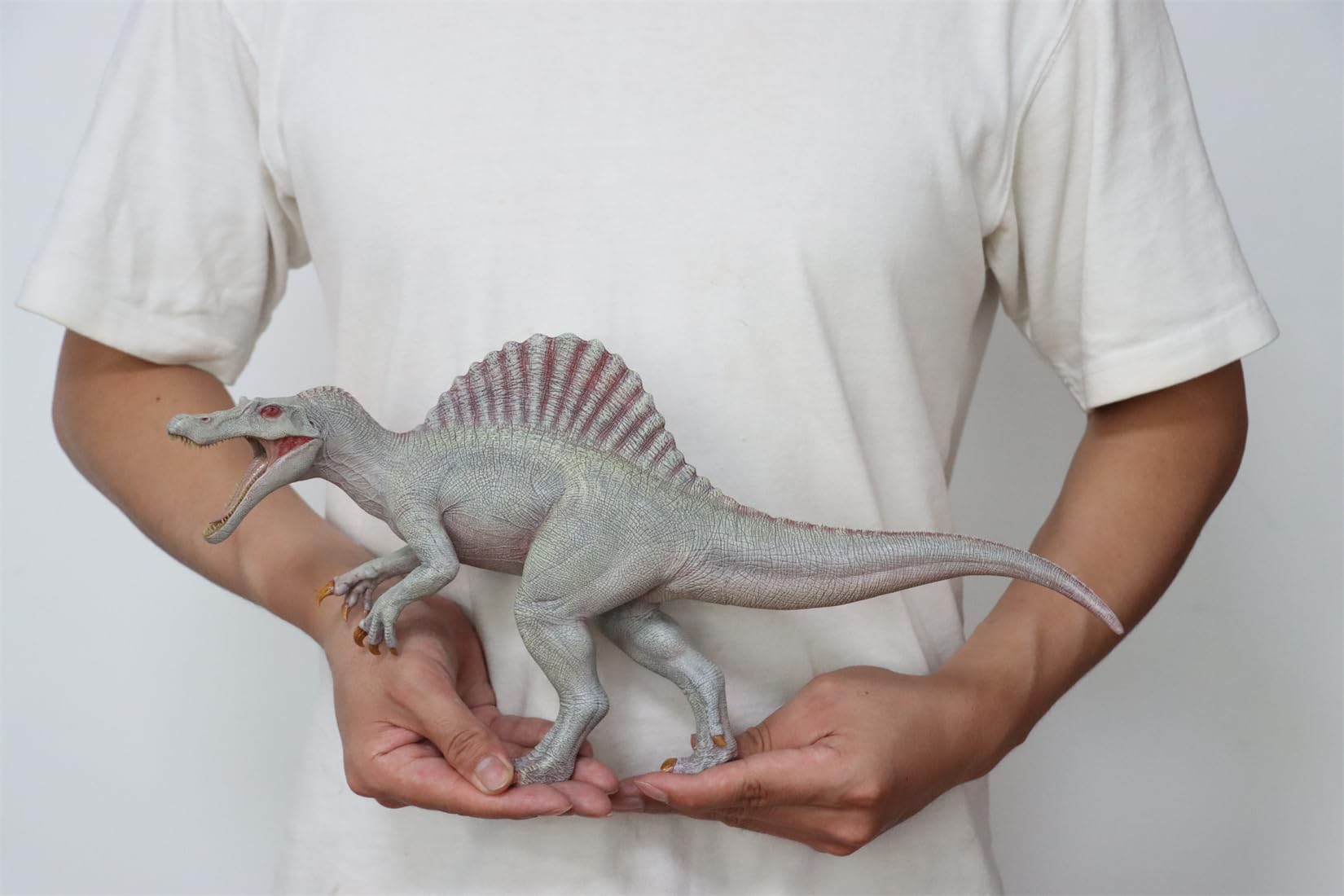 Amazon.co.jp: Nanmu 本心楠改 スピノサウルス2.0版 42cm 大きい