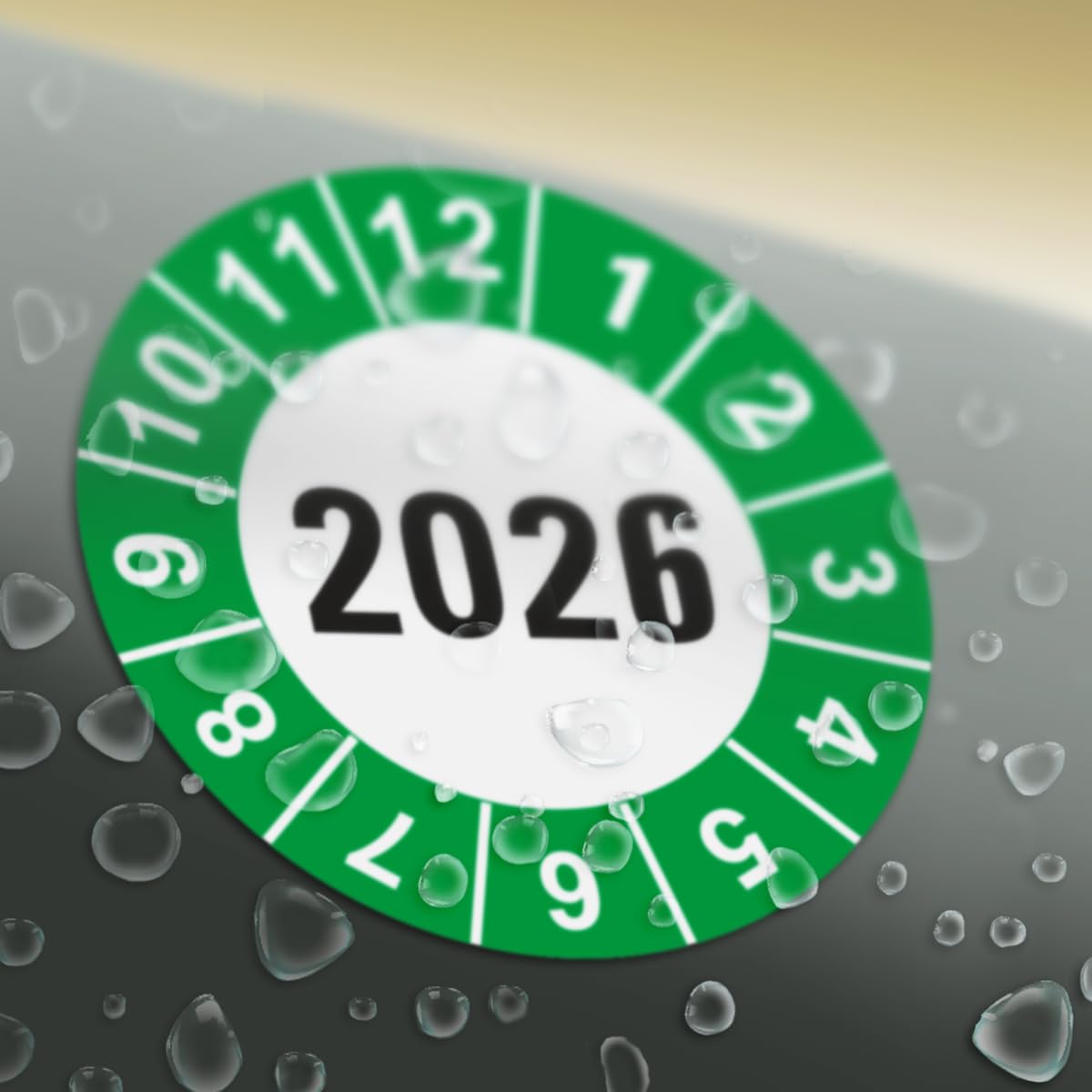 Hochwertige Prüfetiketten JAHRESPLAKETTE 2026 Ø 30mm - Selbstklebende PVC-Folie - Wartungsetiketten für Prüfung - Prüfplakette für Prüfungsnachweis (30 Stück)