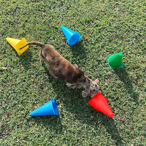 Bramble - 12 Stück Pylonen mit Tragetasche, Verkehrshütchen für Sport, Fußball, Kinder, Hunde, Training - 23cm