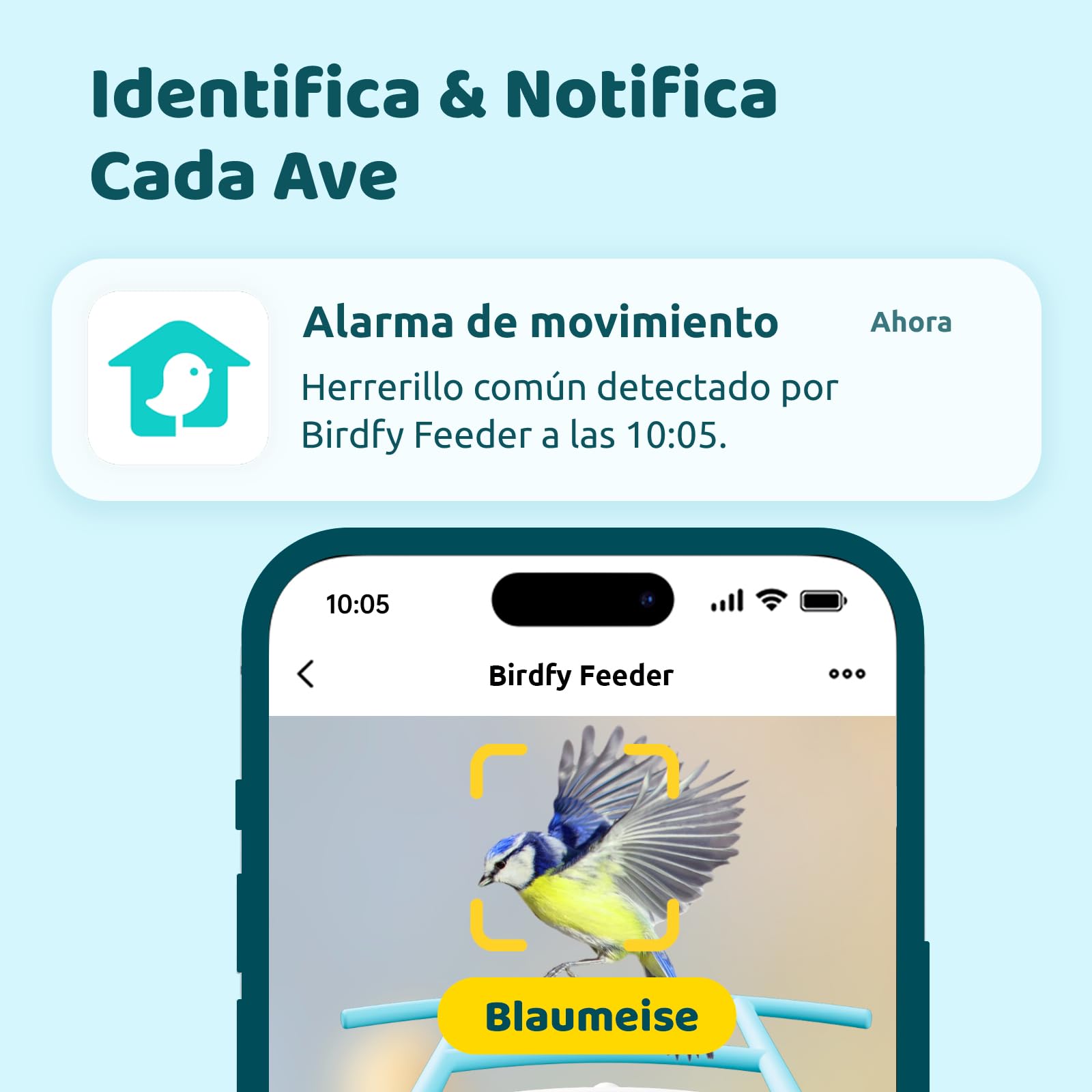 NETVUE by Birdfy Comedero Pajaros Camara, Comedero Pajaros Exterior, Comedero Aves Cámara WiFi con Batería & Solar Panel, Notificación Instantánea, Captura Automática de Imagen/Video