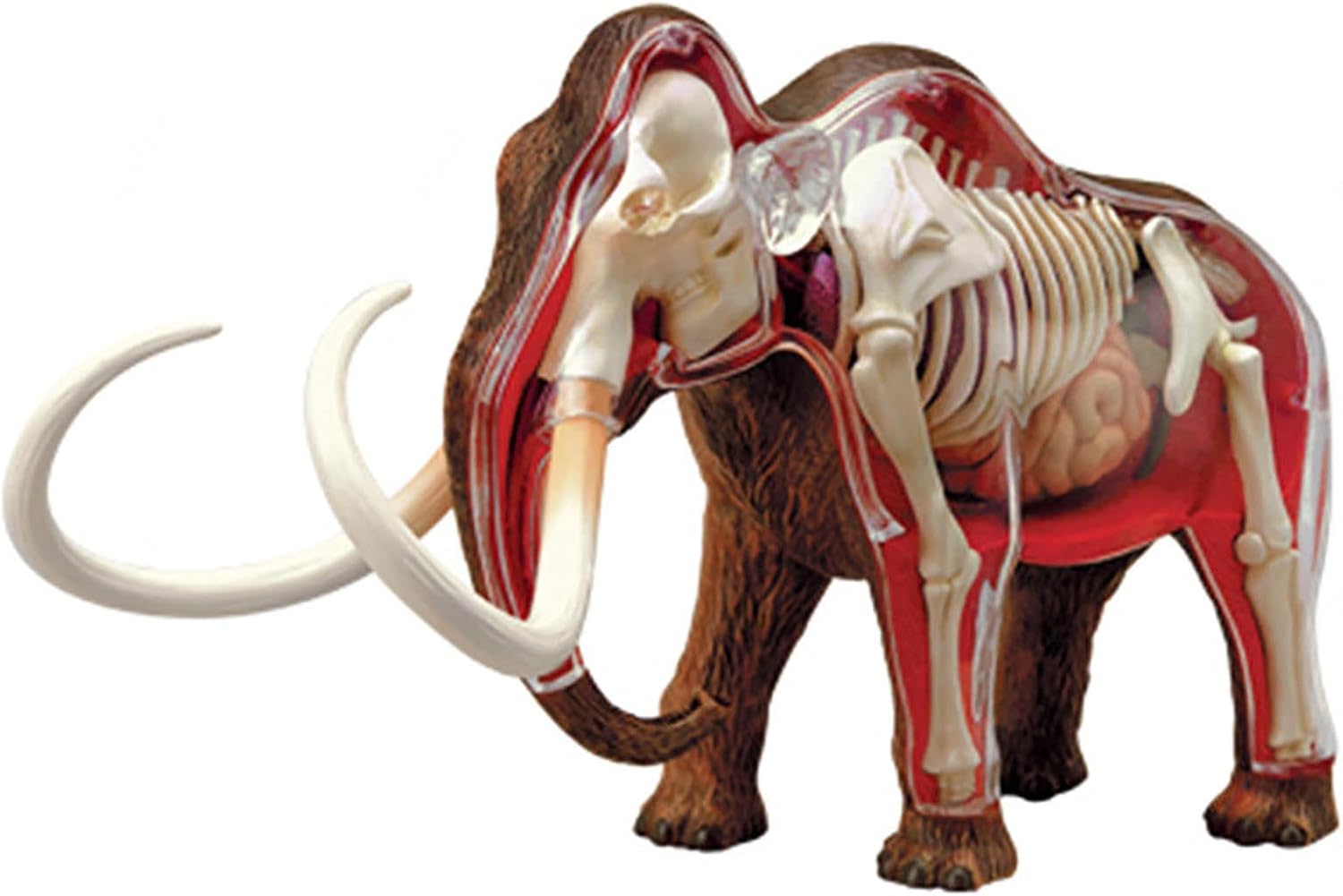 4D Woolly Mammoth Anatomy Model - Animal Skeleton Specimen, Detachable Biology, 30 Parts for Pet Clinic Veterinary TrainingSchool Teaching Demonstration