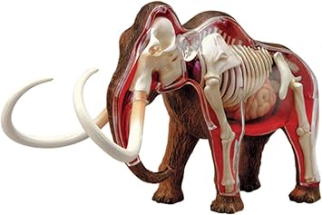 4D Woolly Mammoth Anatomy Model - Animal Skeleton Specimen, Detachable Biology, 30 Parts for Pet Clinic Veterinary TrainingSchool Teaching Demonstration