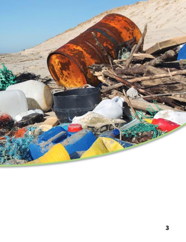 !Demasiada basura! (Science: Informational Text) (Spanish Edition) - Image 4