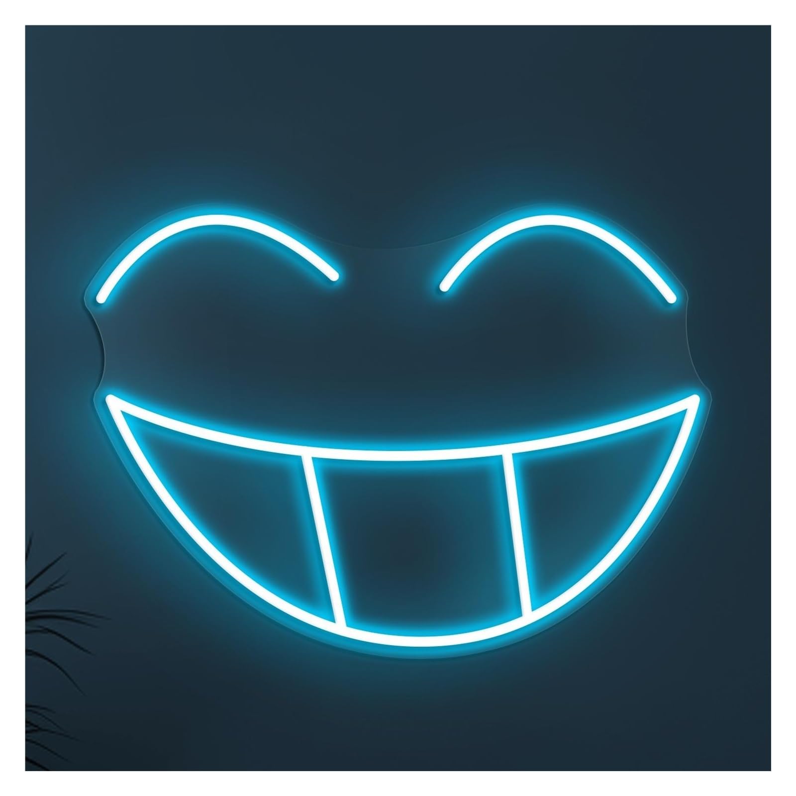 Hanging Art Neon Signs Smiley Face Neon Sign, Suitable For Kids Room Decor With Brightness Adjustable 11.81x8.74in/30x22.2cm(Ice blue)