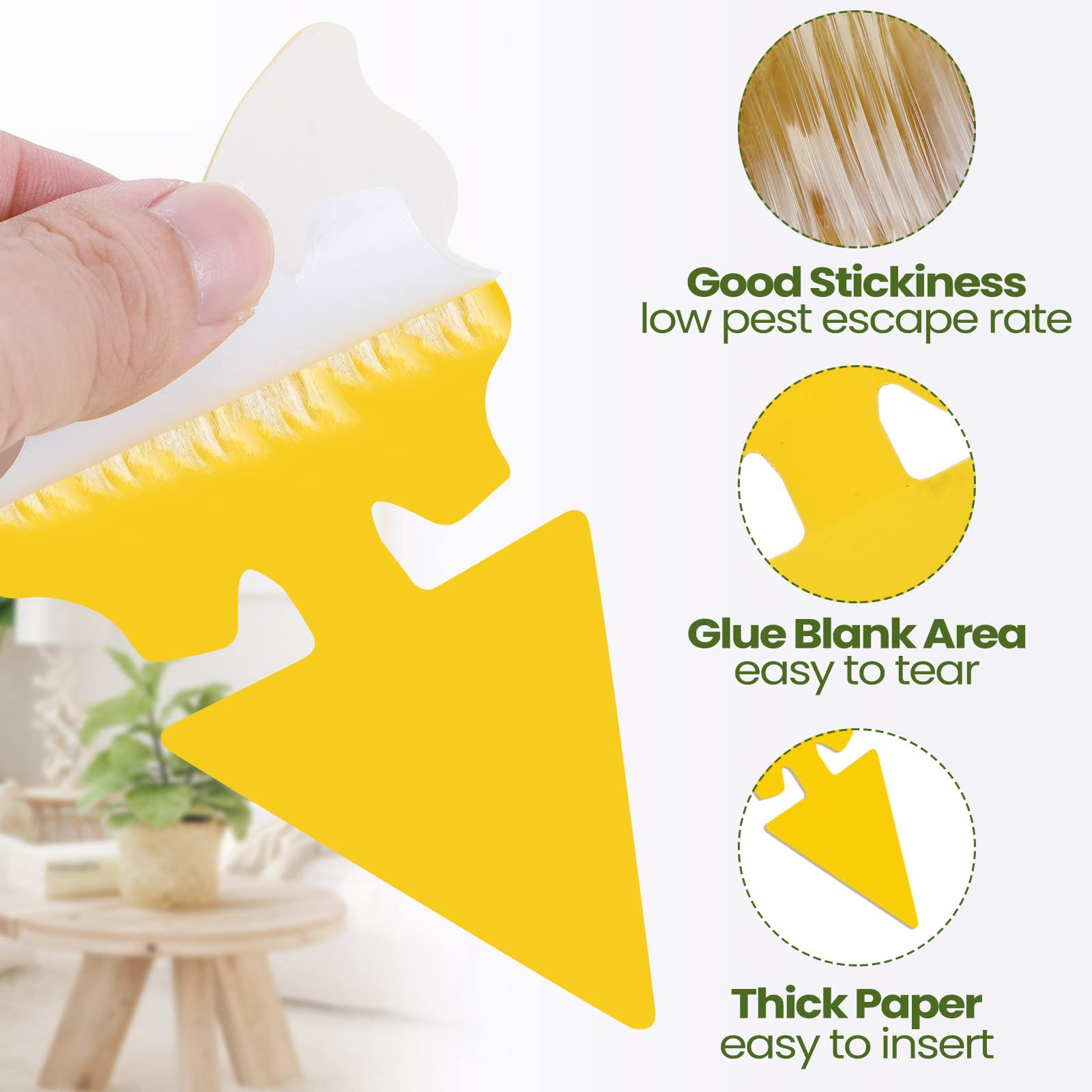 200 hojas de trampas adhesivas para moscas de la fruta para moscas de la fruta, trampa para mosquitos y moscas de la fruta, para interiores de casa, trampas adhesivas para mosquitos, hongos, mosquitos
