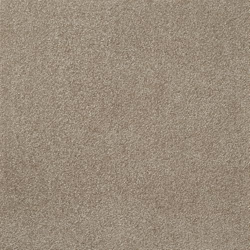 () XNGA2400 \ 10 O[W FF2405  CeA Ƌ ^C J[ybg  tA  FF2405-1