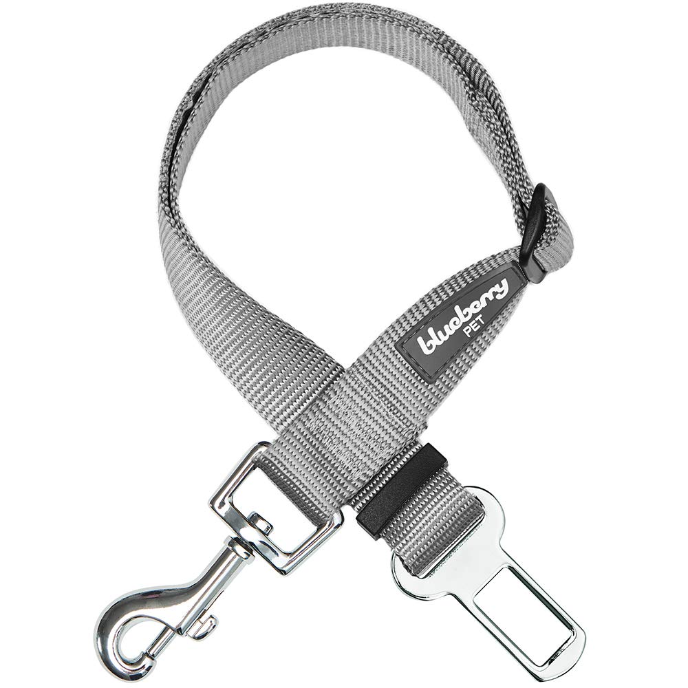 Blueberry Pet Dog Leash Puppy Essentials Seat Belt Tether for Dogs Cats, Gray, Heavy Duty Dog Leashes for Large Dogs - Safety for Pet Parents, Road Trip Enthusiasts, 2"x27.5"