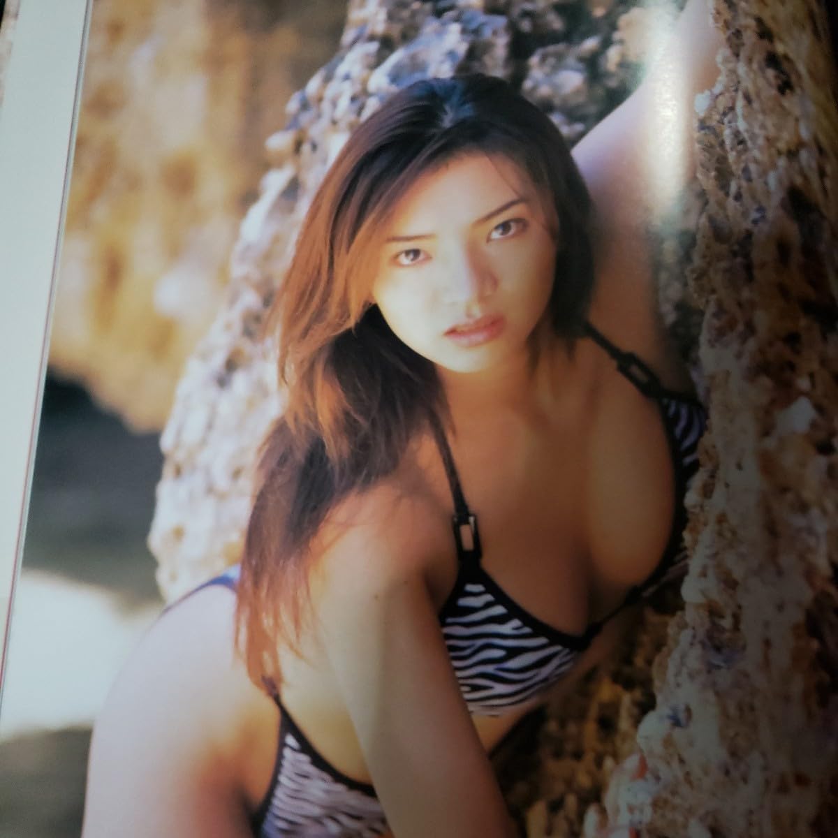 浜野裕子画像 Amazon.co.jp: C.C.ガールズ浜野裕子 写真集 : おもちゃ