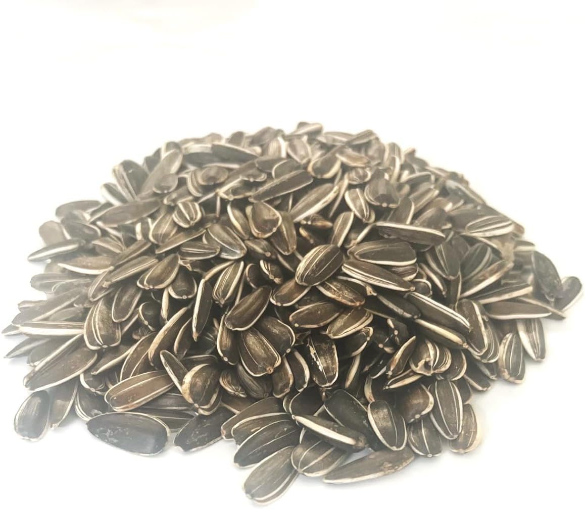 750g Small Sunflower Seed Cage & Aviary Bird Food LGDS