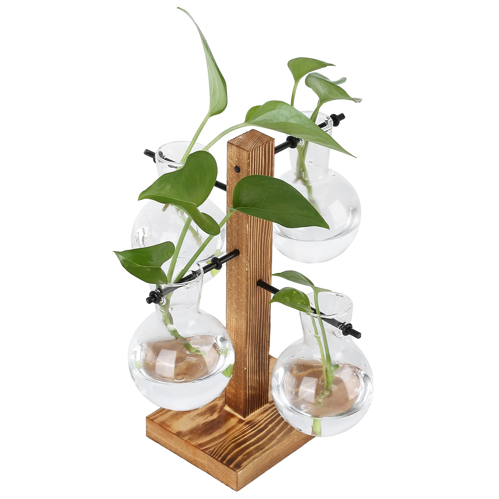Asixxsix Terrarios de Plantas con Soporte de Madera, Jardinera de Aire hidropónica de sobremesa Retro con Vaso de Cristal de 4 Bombillas para propagar Plantas hidropónicas