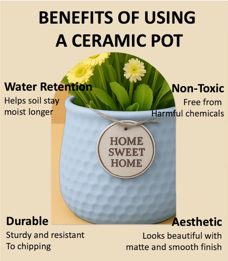 Image of Yo Green Ceramic Plant Pot for Indoor & Outdoor, Modern Planter for Home & Office Decor, Durable, Stylish Finish, Ideal for Tabletop, Shelf, Balcony, Great Gift Idea (Blue, 3 Inches)