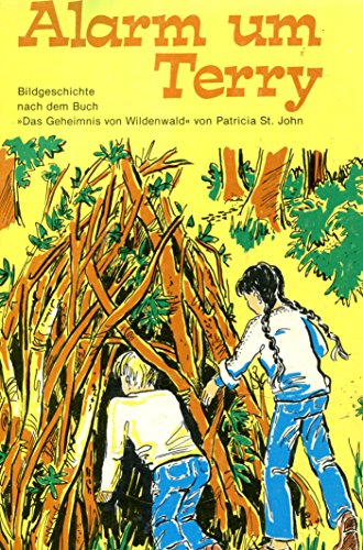 Das Geheimnis von Wildenwald 3879820562 Book Cover