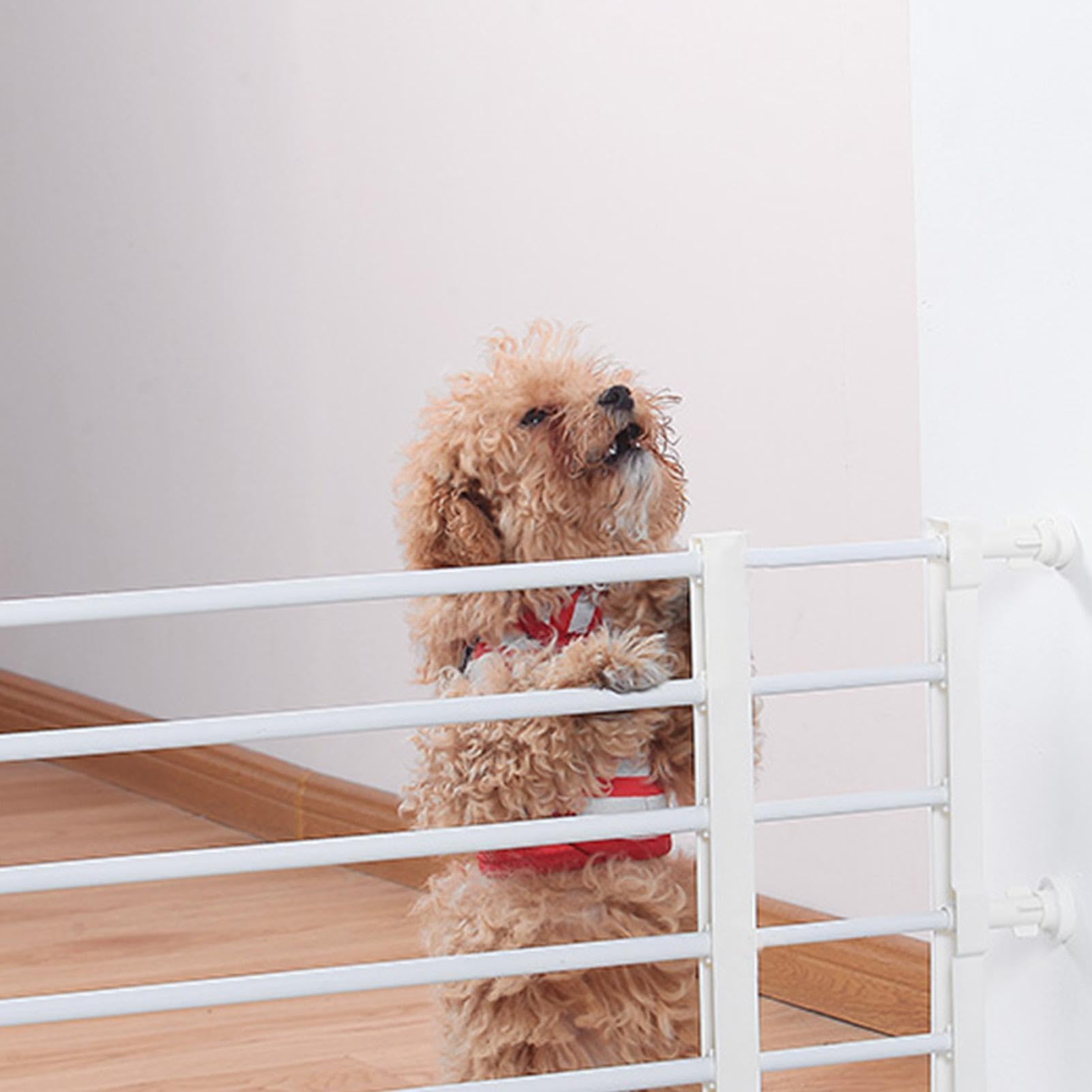 Cancelletto di sicurezza per cani | Lunghezza estensibile in acciaio basso Pet Safety Gate | Stabile cancello di sicurezza per animali domestici per scale | porte, corridoi, interni ed esterni
