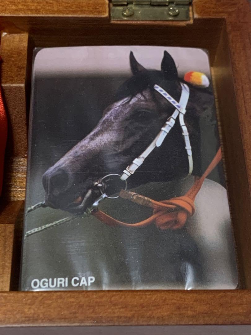 オグリキャップの記念品 Amazon.co.jp: 競馬コレクター 蔵出し品 その19『オグリキャップ 第