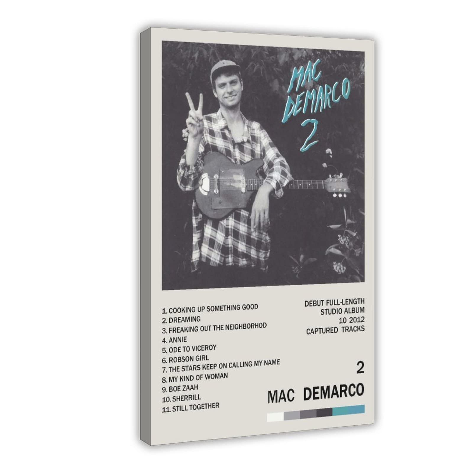 Amazon.com: Mac DeMarco Music Poster 2 Album Cover Poster|Music