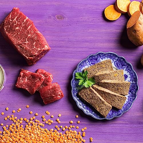 Fromm Four-Star Nutritionals Beef & Venison Pate Cat Food thumb #1