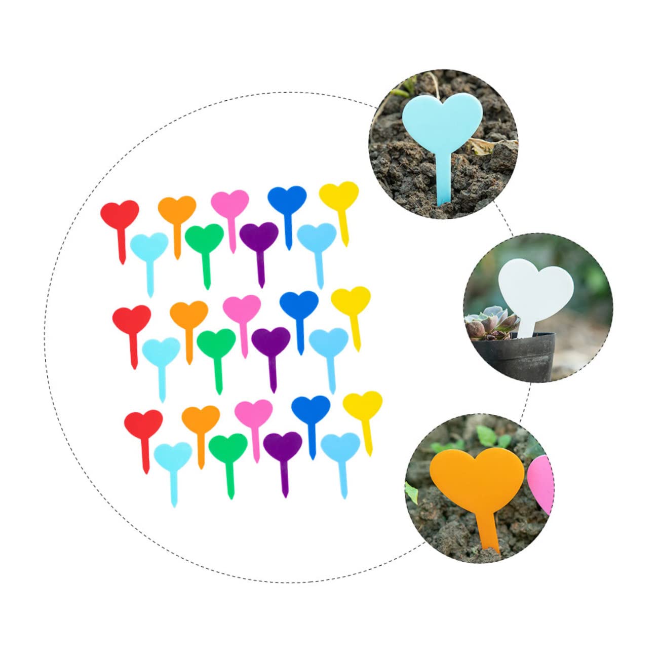SUPVOX 3 Set Etichetta Vegetale Piante Phyto Waterproof Specchio Chiaro Piantatrice Di Cactus Fito Scheda Etichetta Fiore Decorativa Da Giardino Polietilene Pp 200 Pezzi * 3