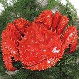 花咲蟹(オスメス無選別）　1.5gk詰(4～5尾） (熨斗無)