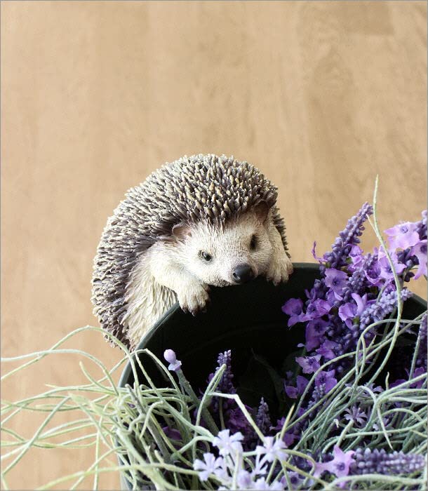 Amazon.co.jp: ハリネズミ ぶら下げ オブジェ グッズ 雑貨 かわいい