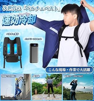 Amazon.co.jp: ペルチェ ベスト【2025新登場＆2つ冷却ブレート
