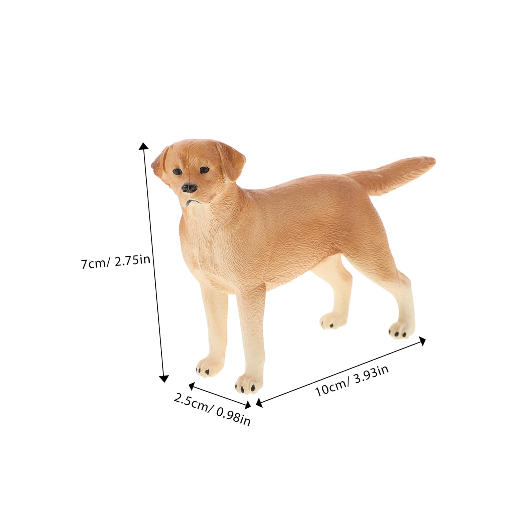 Amazon.co.jp: HAWILLOSCH チュア犬フィギュア ラブラドール犬の模型