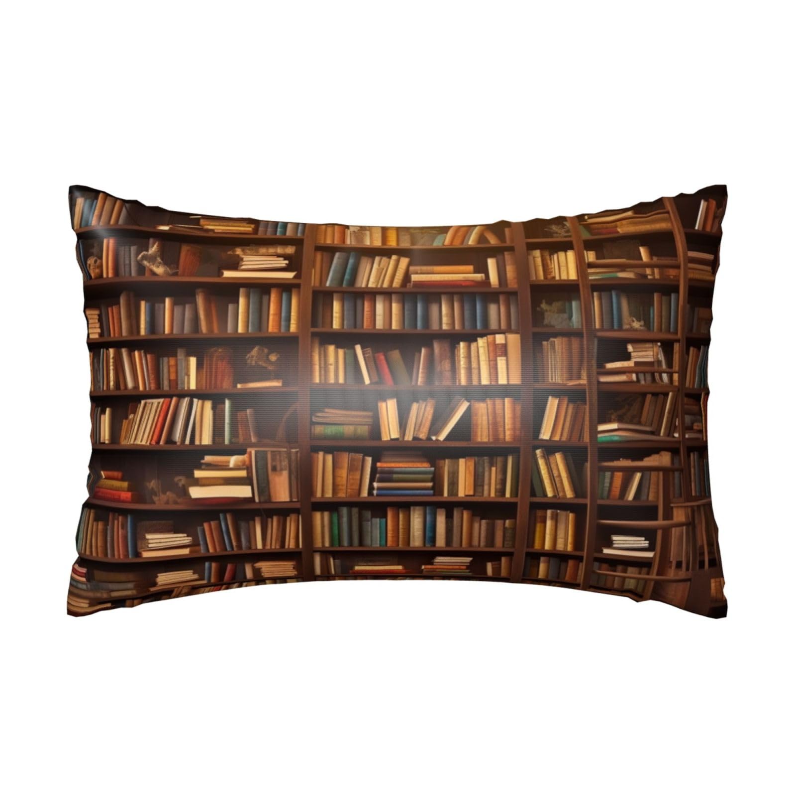 Satin Pillowcase for Hair and Skin, Books Pillow Case Queen Size 20x30 Inches, Cooling Silky Pillowcases with Zipper Ultra Smooth and Soft Pillow Cover for Sleeping
