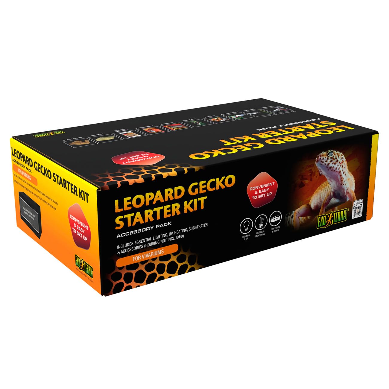 Exo Terra Leopard Gecko Vivarium Accessory Kit – Complete Vivarium Habitat Supplies for Leopard Geckos