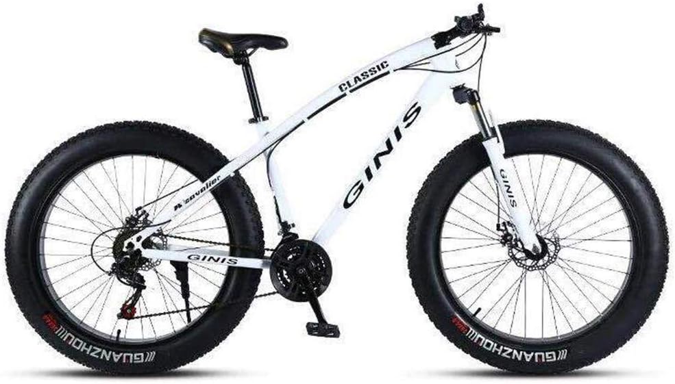 bici da spiaggia 26 pollici