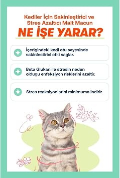 Biofeline Relaxing Paste 100g and Calming Paste for Cats That Provides Comfort Against Daily Stress