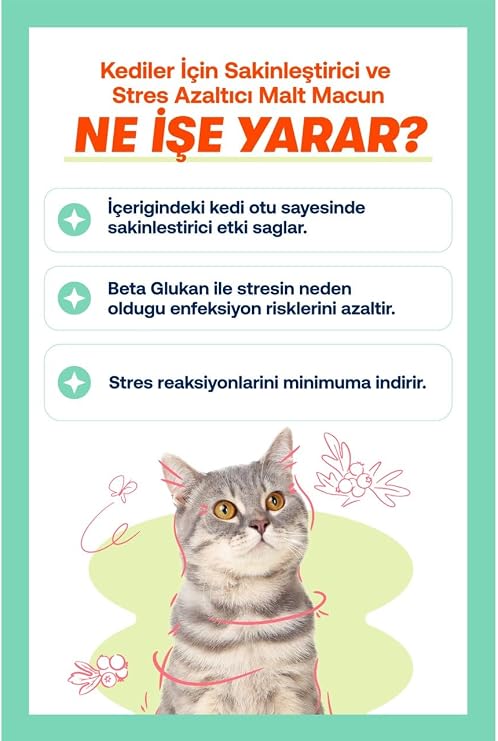 Biofeline Relaxing Paste 100g and Calming Paste for Cats That Provides Comfort Against Daily Stress