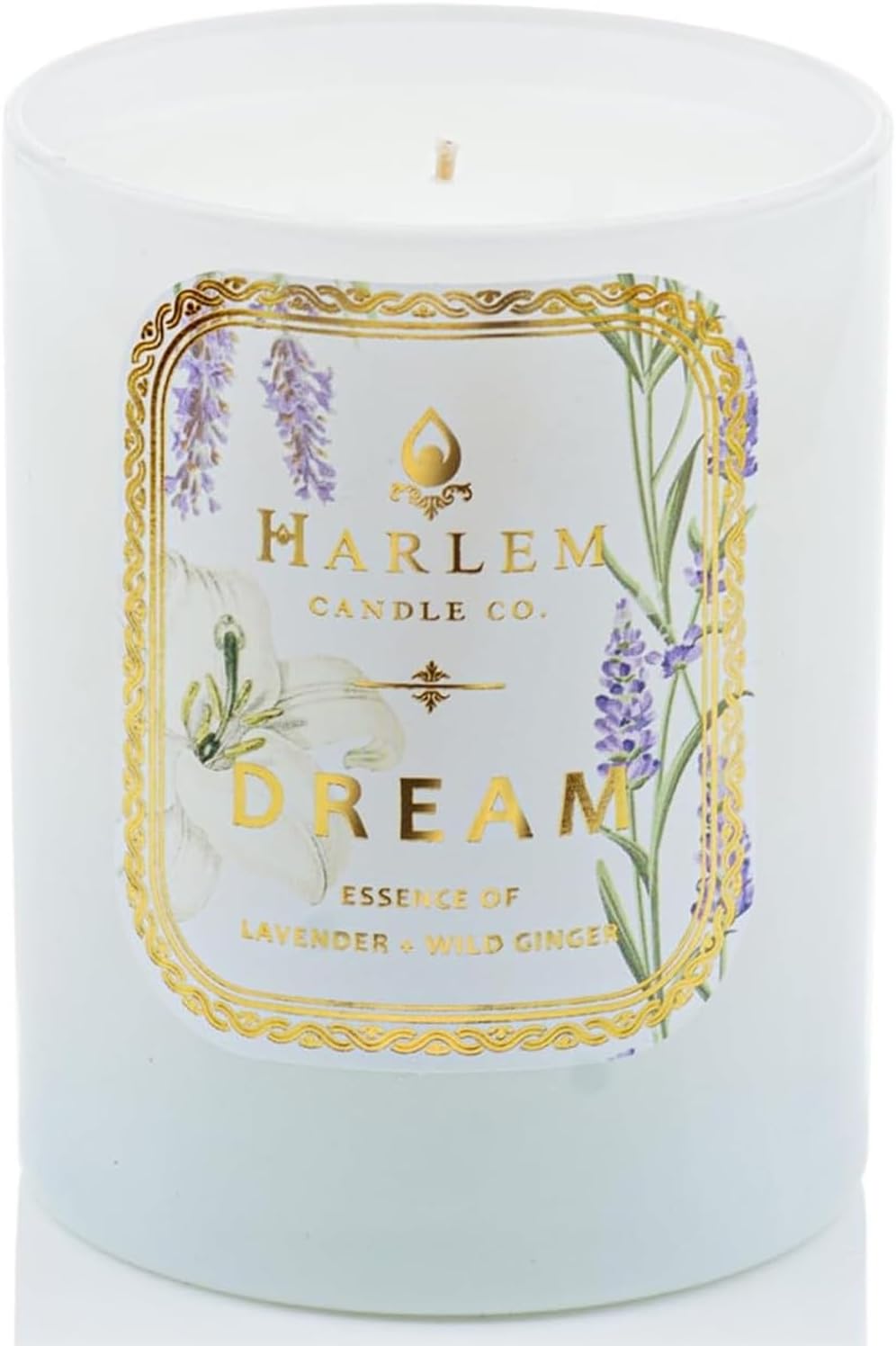 Dream