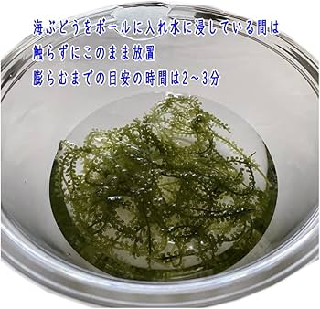 海ぶどうです☆ Amazon.co.jp: Okinawa Prefecture Sea Grapes 1.8 oz (50 g