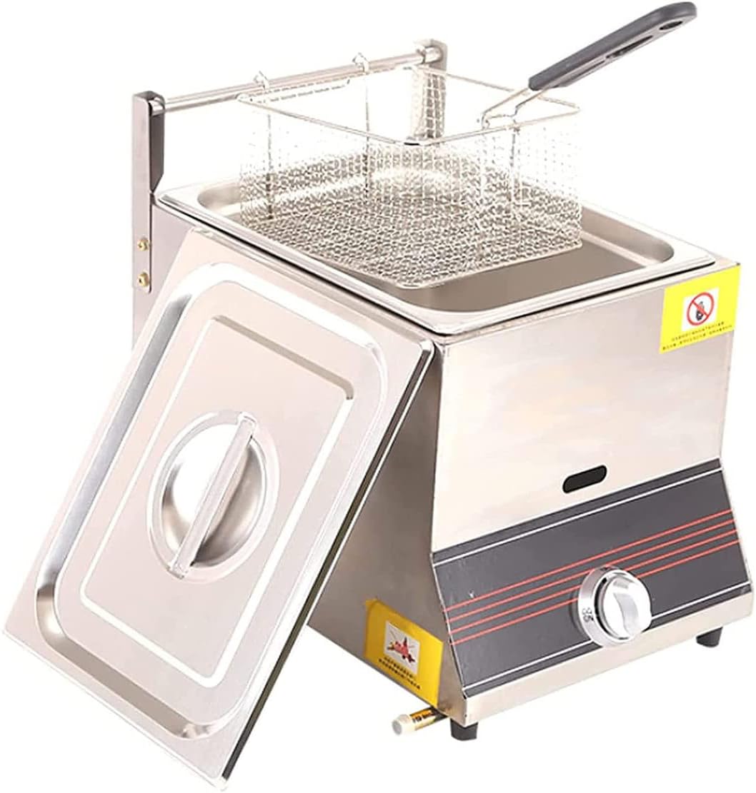 Commercial Gas Fryer, Countertop Stainless Steel Lpg Fryer, French Fries Machine,L for Restaurants Homes,Single