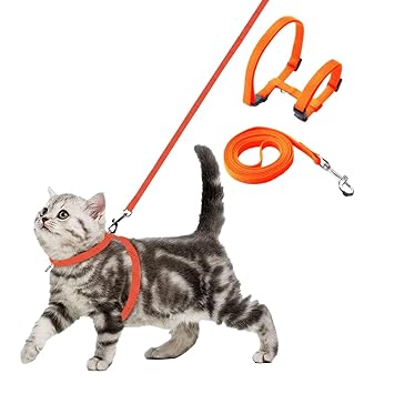 BURAQ Pets Nylon Leash with Full Body Harness Set for Cats Adjustable & Durable (Orange)