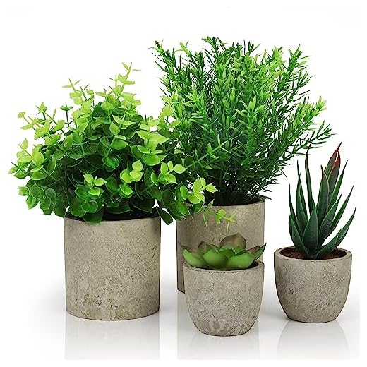 BELLE VOUS Pack de 4 Plantas Artificiales Decorativas en Macetas para Interior - Eucalipto, Sansevieria y Suculenta - Plantas Decorativas Artificiales Oficina, Escritorio/Mesa, Dormitorio o Cocina