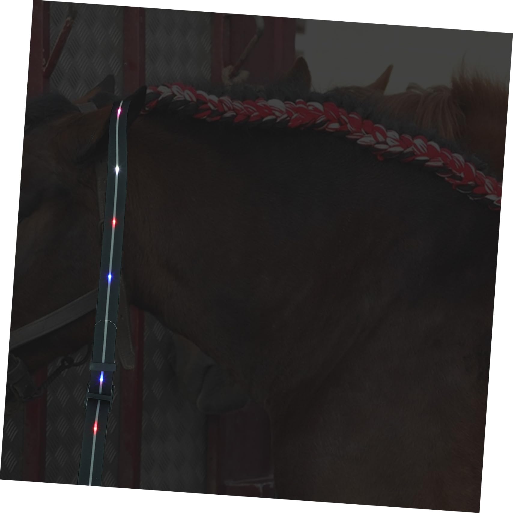 Correa Luminosa LED para Caballo, Pechera de Adiestramiento Negra | Pu y Nylon, Carcasa Abs Smd y Aleación de Aluminio, Ligera y Fiable, para Afición Ecuestre Estilo Aleatorio