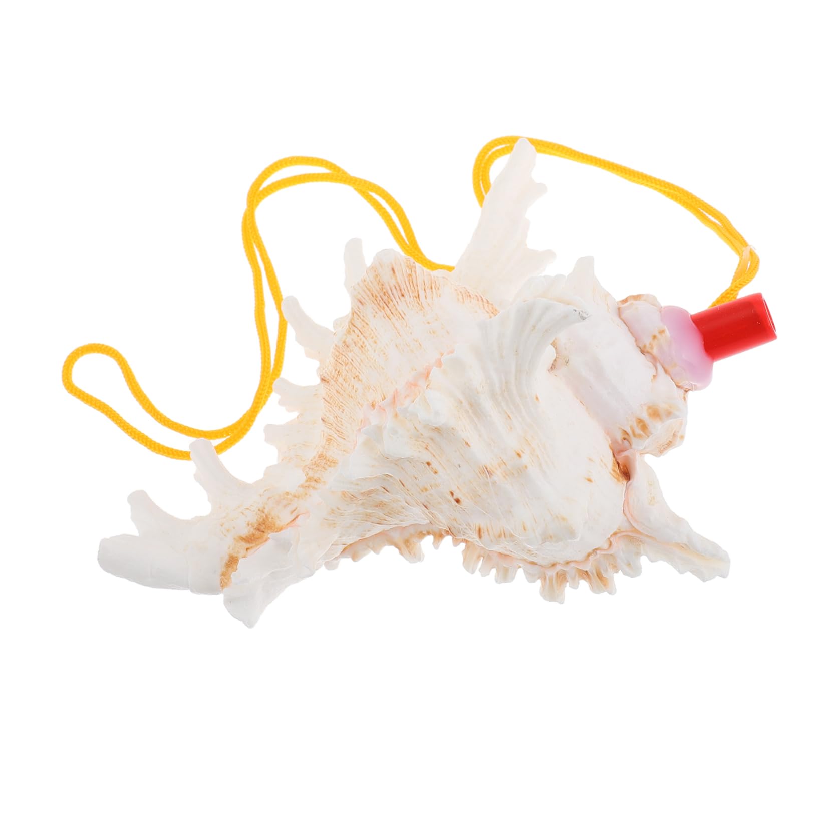 BESTonZON Conch Shell Horn Whistle Decorative Seashell Whistle for Parties Weddings Celebrations Unique Natural Conch Shaped Instrument Easy to Play Eye Catching Home Decor