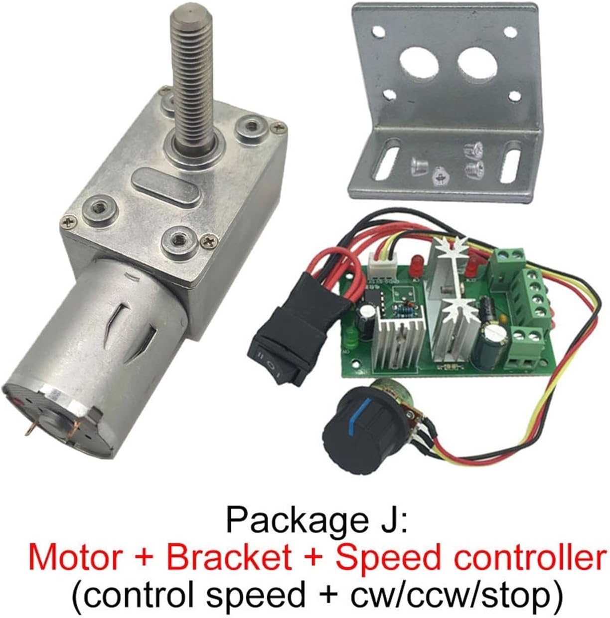 ビカクシダ veitchii wild vp#0 steel ビカクシダ veitchii wild vp#0 ビカクシダ veitchii wild vp#0 steel ビカクシダ veitchii wild vp#0
