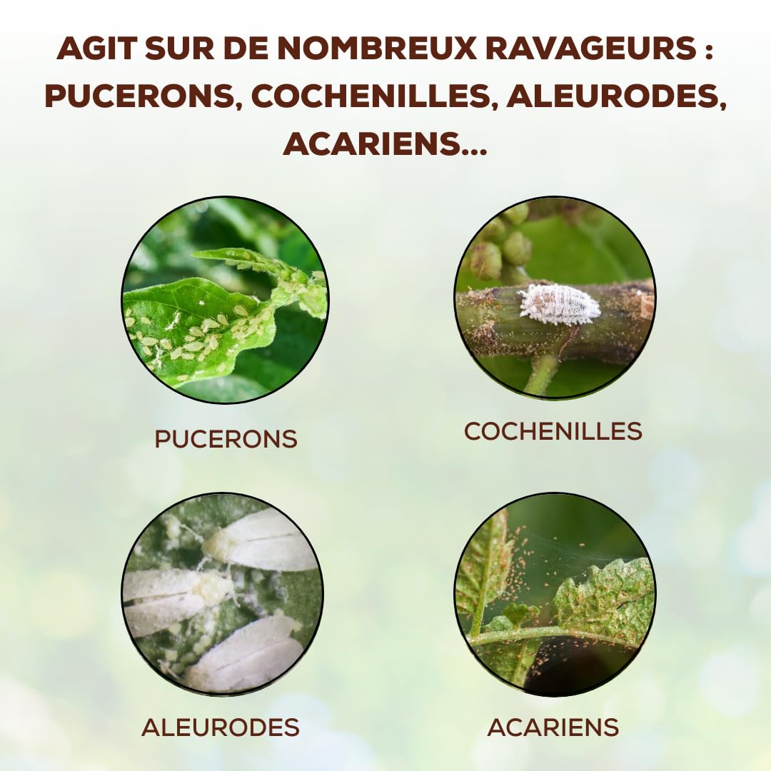 Anti Insectes - Action Choc - Traitement Concentré - 2x 250ml - Acariens Pucerons Ravageurs - NEUPINSPOLY250X2