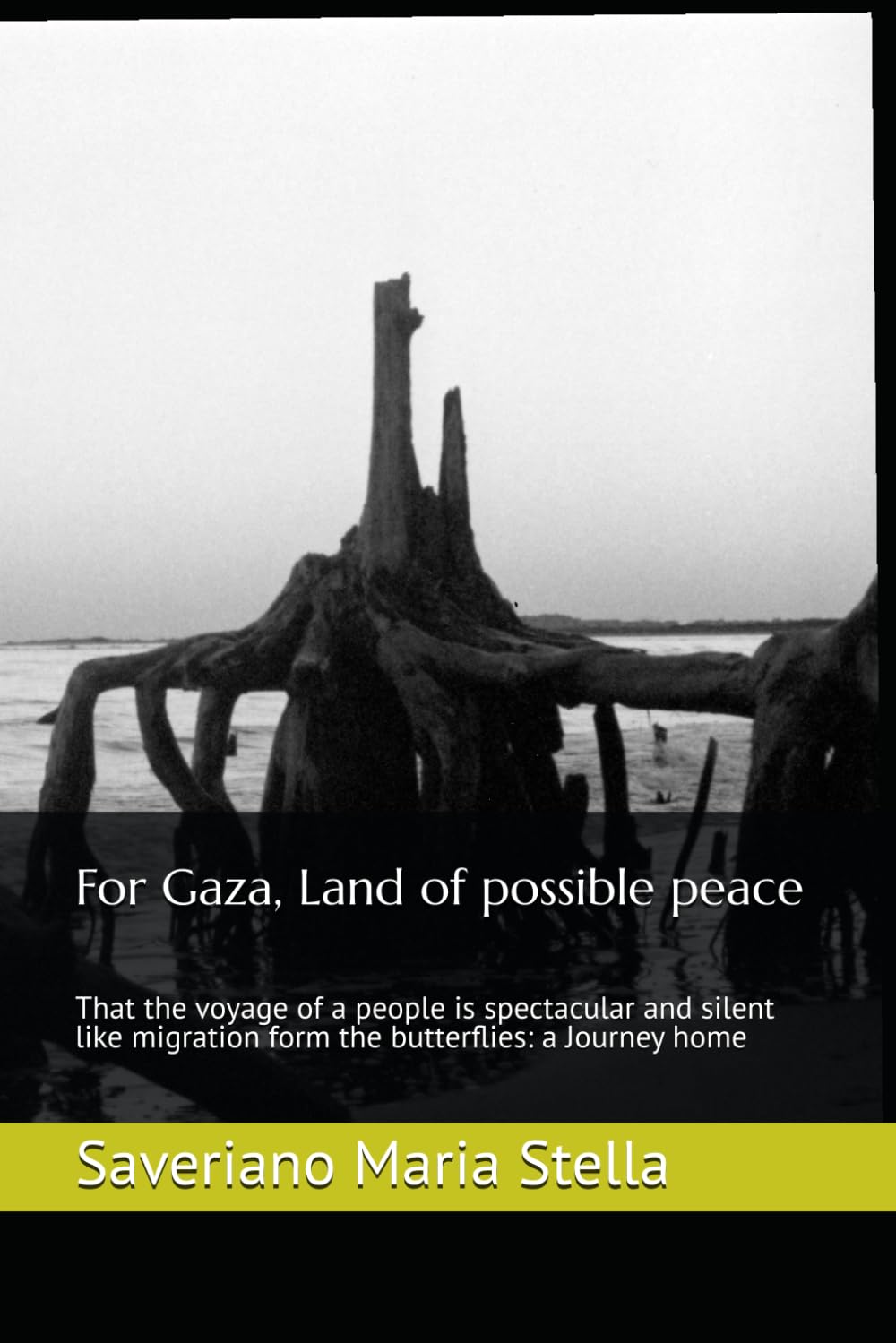 For Gaza, Land of possible peace: That the voyage of a people is spectacular and silent like migration form the butterflies: a Journey home