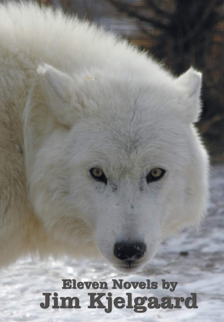 Eleven Novels by Jim Kjelgaard (complete and unabridged) including: The Spell of the White Sturgeon, The Lost Wagon, Trading Jeff and his Dog, Double ... Geronimo, Hi Jolly and The Duck-footed Hound