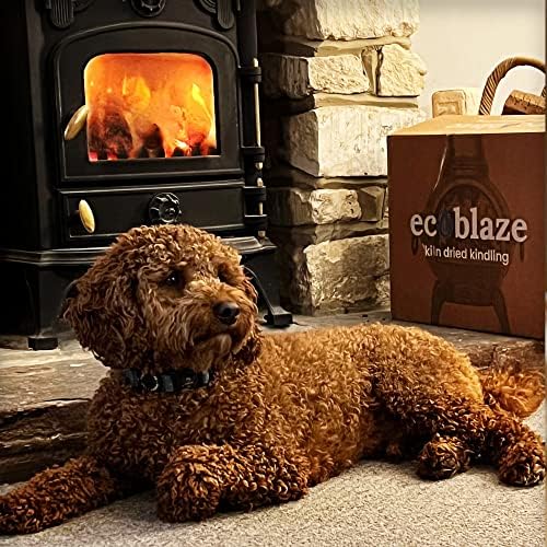 EcoBlaze Kindling - Kiln Dried Kindling for Wood Burners, Chimineas, Pizza Ovens & BBQs - Ready to Burn - 120 Stick Mega Pack