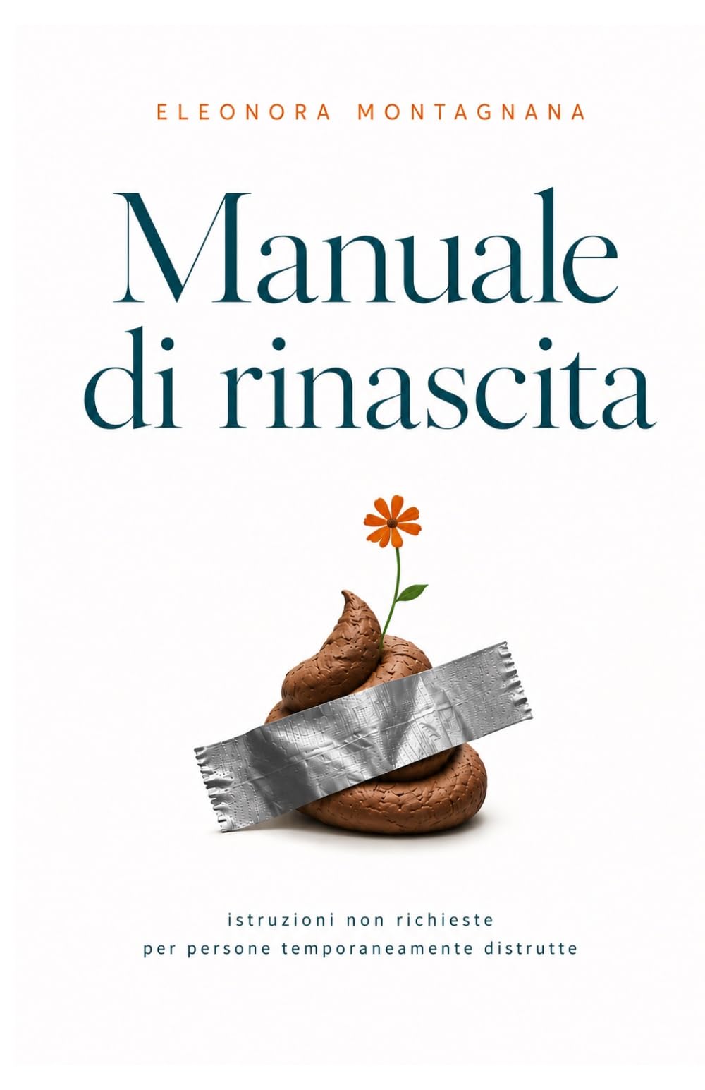 Manuale di Rinascita: Istruzioni non richieste per persone temporaneamente distrutte