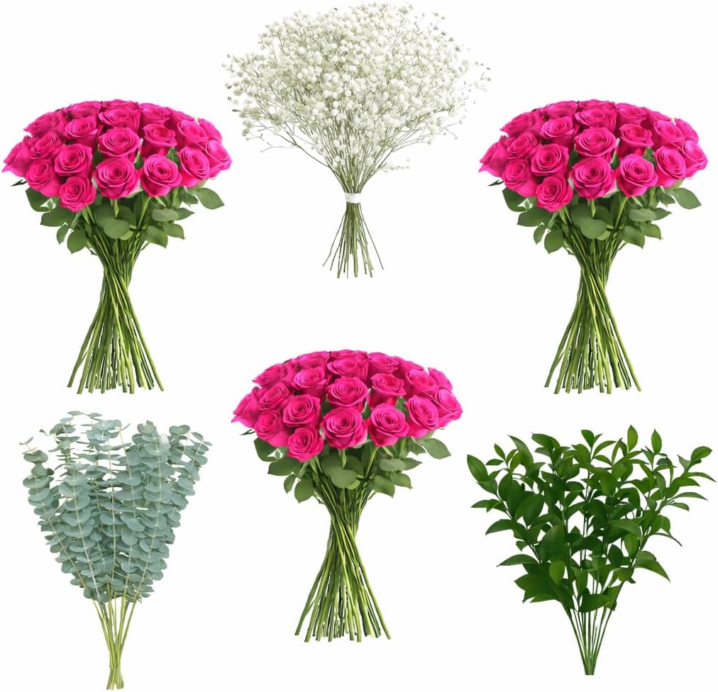 GlobalRose 75 Hot Pink Roses with Baby’s Breath, Ruscus & Eucalyptus | Bulk Fresh Flowers for DIY Arrangements, Events, or Gifts