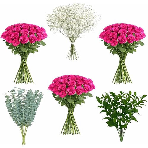 GlobalRose 75 Hot Pink Roses with Baby’s Breath, Ruscus & Eucalyptus | Bulk Fresh Flowers for DIY Arrangements, Events, or Gifts