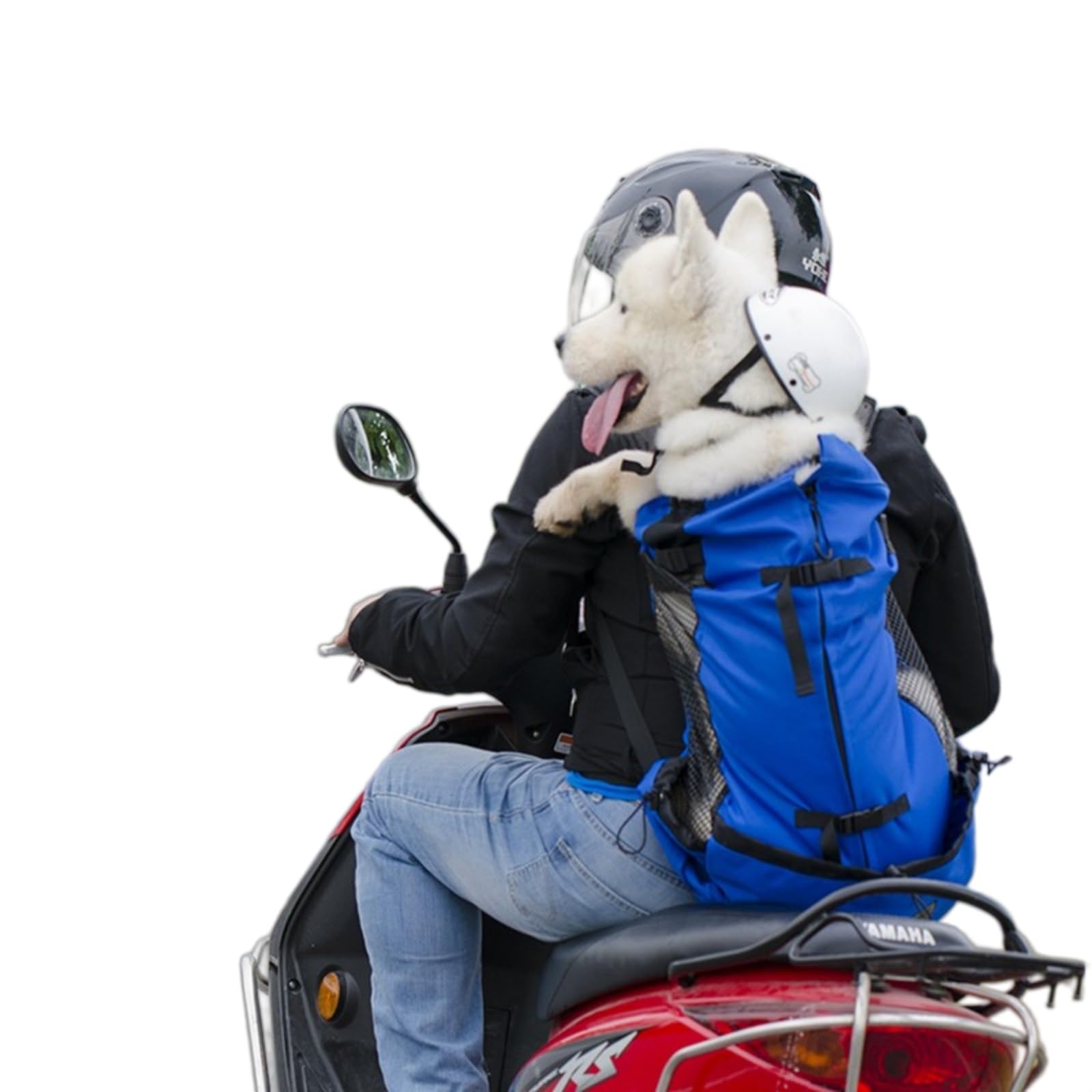 Borsa Viaggio Animali Zaino da Trasporto per Cani Compagnia Ventilato Escursioni E Viaggi, A Maglia Traspirante All'aperto Piccoli Gatti in Bicicletta Moto-Black-l(9-11kgs)