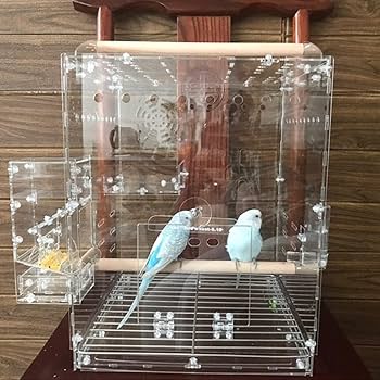 アクリル製ハウス型鳥かご 小鳥用 鳥カゴ Amazon | アクリル鳥かご家庭用観賞小型養殖かごプラスチック二層の は