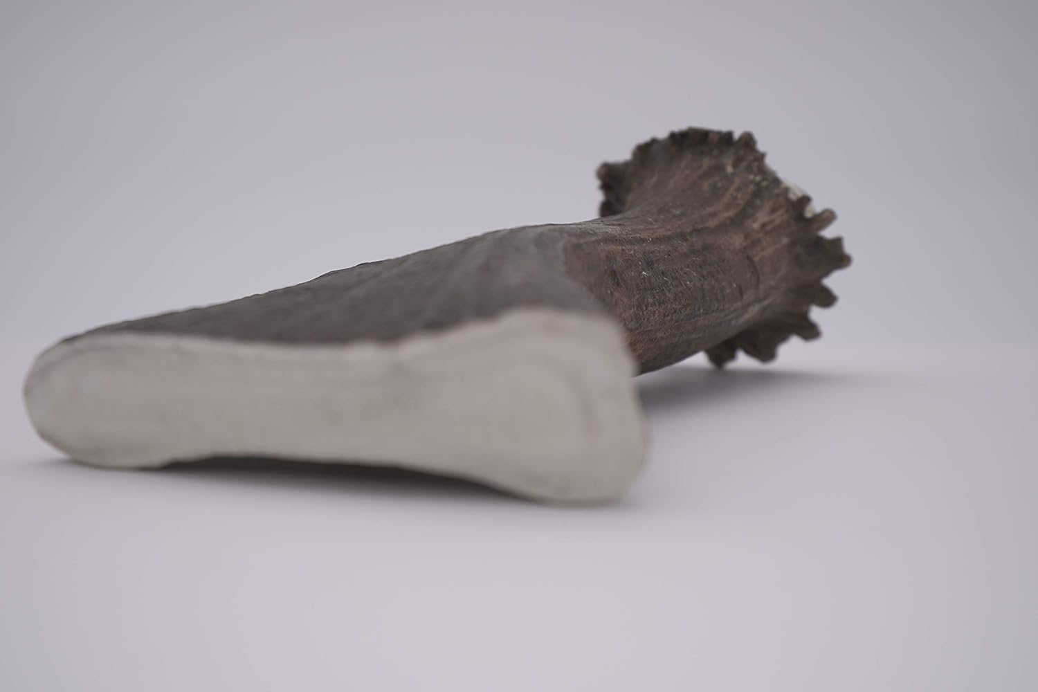 Monster Moose Antler Dog Chew - Grade A Premium - Organic - Made in USA - No Mess