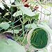 bouncevi Trellis Premium Plant Red para trepar con un Gran tamaño de...
